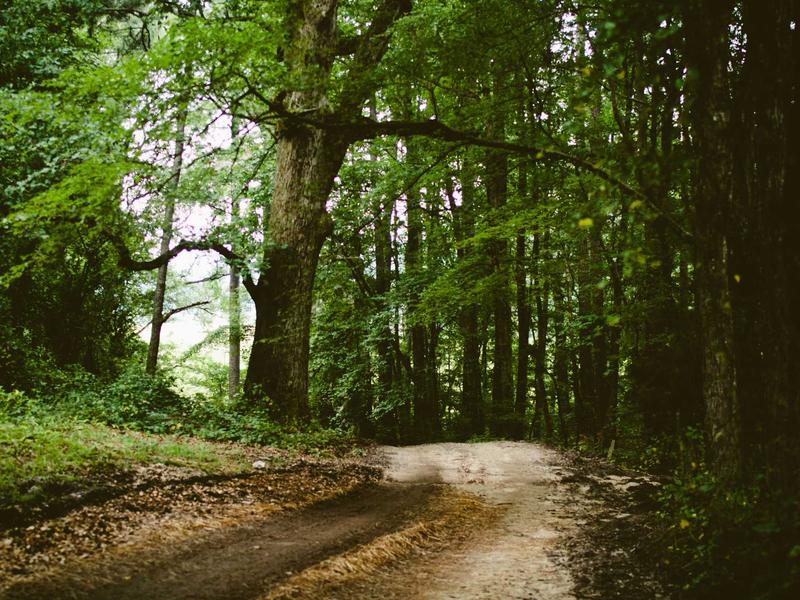 sudoku extra challenge screenshot 3