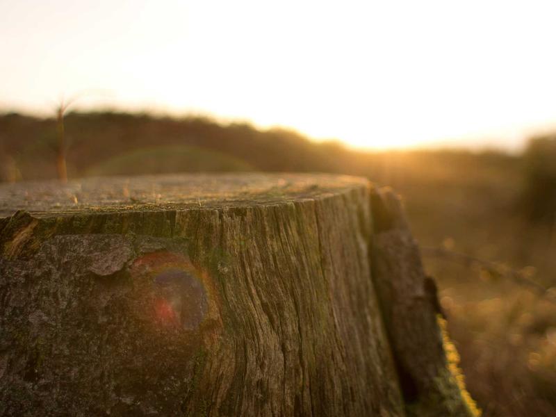 sudoku extra challenge