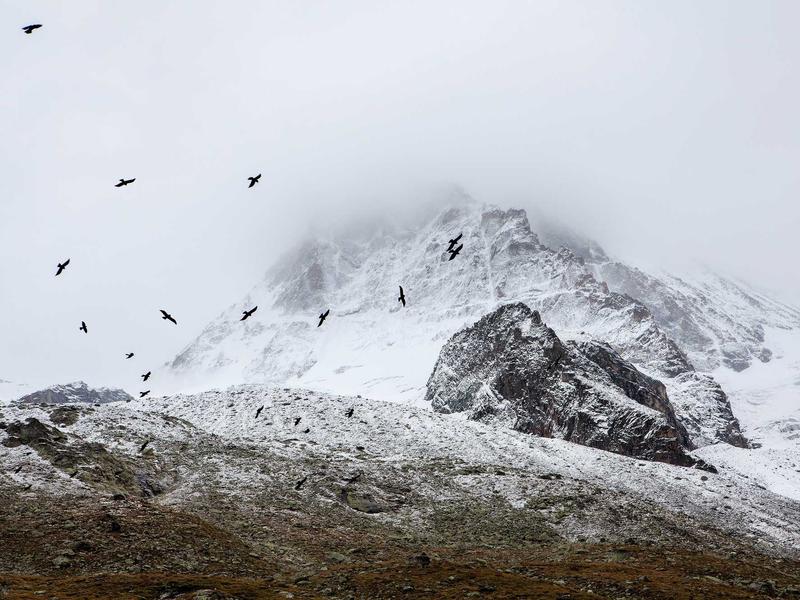 sudoku extra challenge screenshot 2